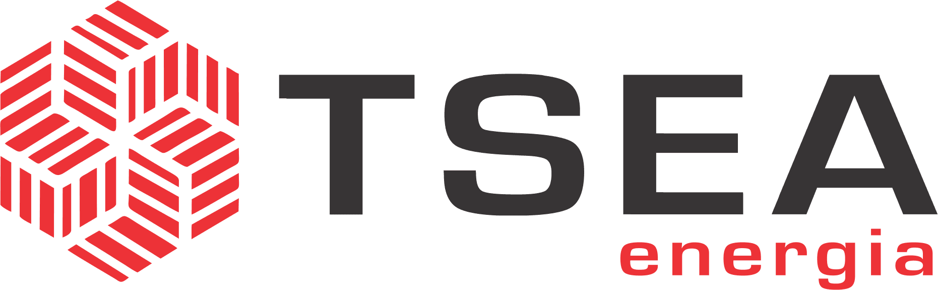 Logomarca parceiro TSEA